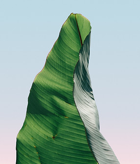 pierre-chatel-innocenti